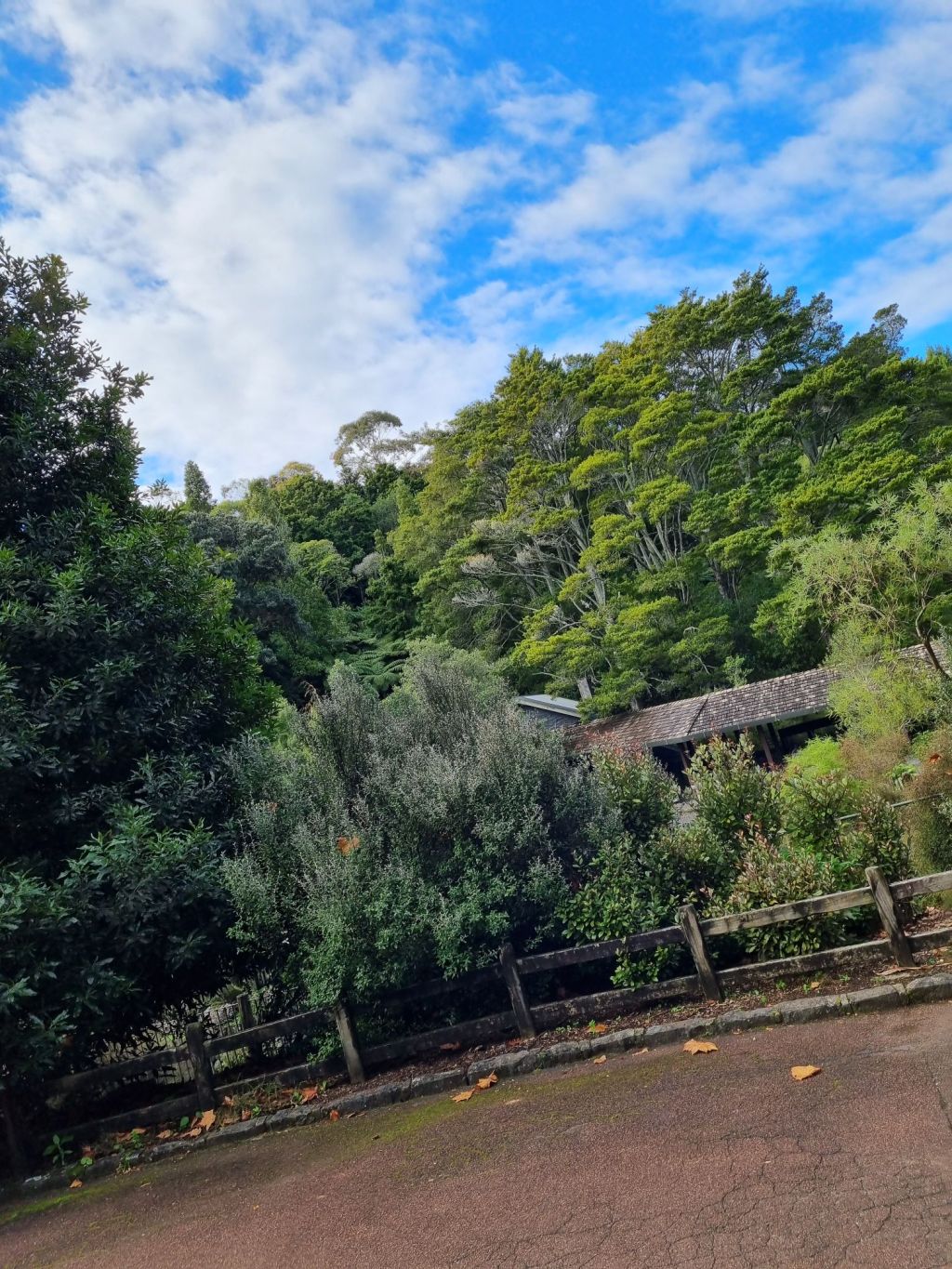 Ch. 2: The World’s Greatest&nbsp;Zoo